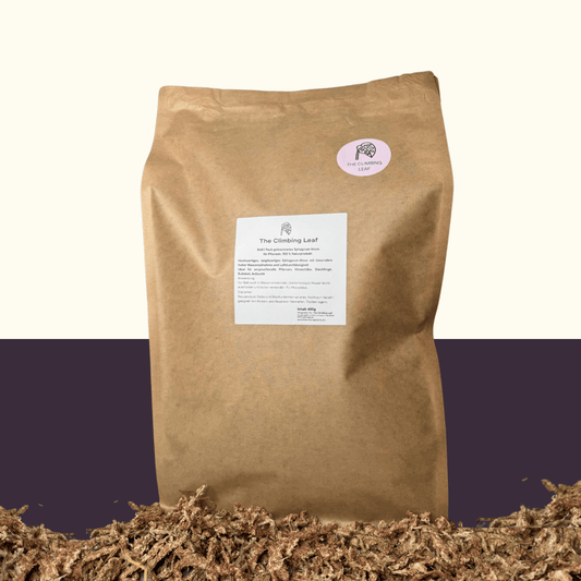 Sphagnum Moos 400g Refill Pack – getrocknetes, langfaseriges Naturmoos von The Climbing Leaf